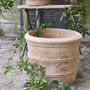 Terracotta Plant Pot In Three Sizes, thumbnail 2 of 3
