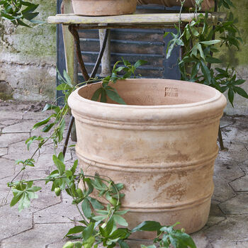 Terracotta Plant Pot In Three Sizes, 2 of 3