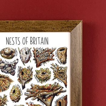 Nests Of Britain Wildlife Print, 8 of 8