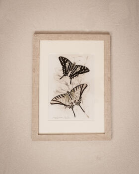 Framed Pair Of Vintage Butterfly Art Prints In Sand Frames, 3 of 10