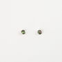 Paua Shell Silver Plated Stud Earrings, thumbnail 3 of 3