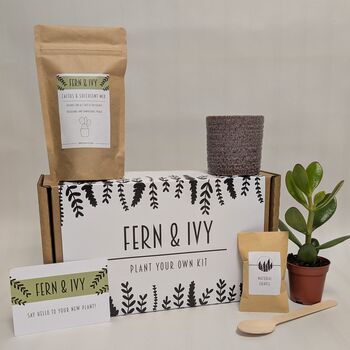 Plant Your Own Succulent Kit, 4 of 12