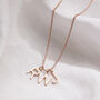 Family Letter Initials Necklace, thumbnail 5 of 8