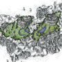 Whole In One! Golf Courses Of The UK And Ireland, thumbnail 11 of 12