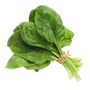 Vegetable Plants Spinach 'Renegade' Full Plant Pack, thumbnail 3 of 5