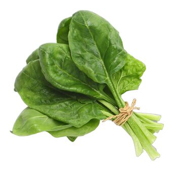 Vegetable Plants Spinach 'Renegade' Full Plant Pack, 3 of 5