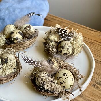 Handmade Miniature Nests With Real Blown Quail Eggs, 7 of 9