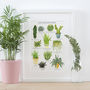 Cacti And Succulents Illustrated Giclée Print, thumbnail 3 of 7