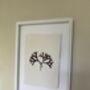 Pressed Seaweed Framed Artwork Irish Moss .01, thumbnail 2 of 4