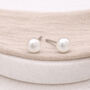 Sterling Silver White Freshwater Pearl Stud Earrings – 5mm, thumbnail 2 of 10