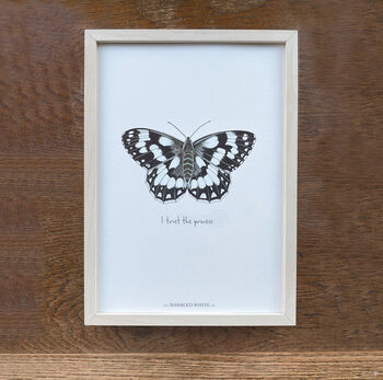 Marbled White Illustrated Butterfly Print, 3 of 5
