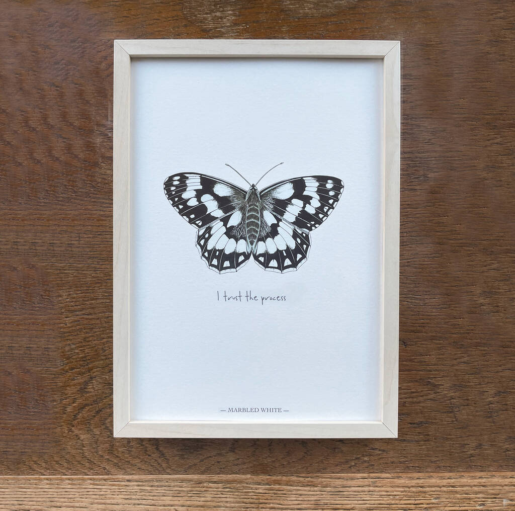 Marbled White Illustrated Butterfly Print By Fearless Flamingo