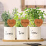 Ceramic Kitchen Herb Planters With Personalised Markers, thumbnail 1 of 7