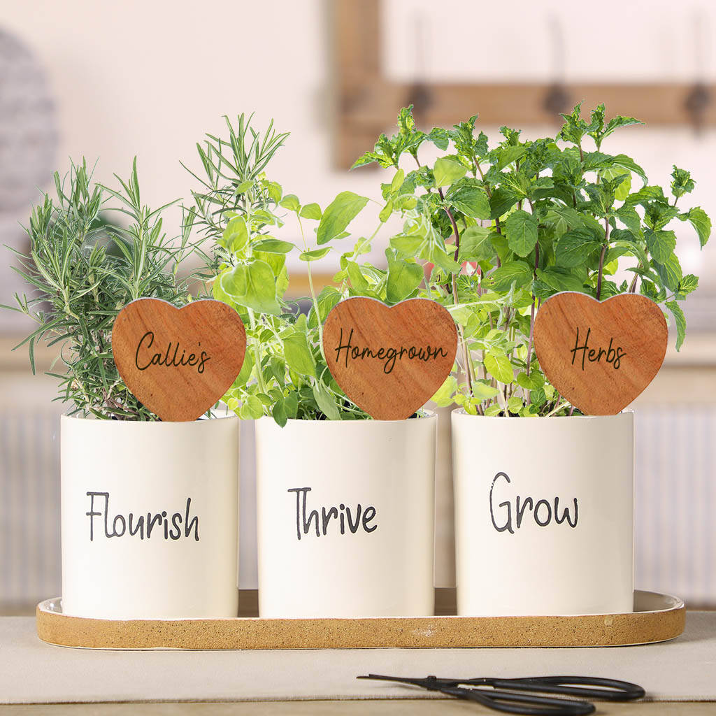 Ceramic Kitchen Herb Planters With Personalised Markers, 1 of 7