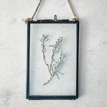 Small Antique Pressed Flower Frame: Lavender Leaves, 3 of 8