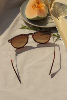 Brown Traditional Style Sunglasses, 4 of 7