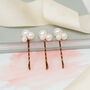 Set Of Three Large Pearl Cluster Bobby Pins, thumbnail 3 of 4