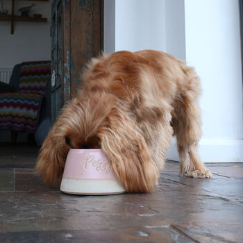 Personalised Spaniel Water Bowl Small Or Large, 6 of 9