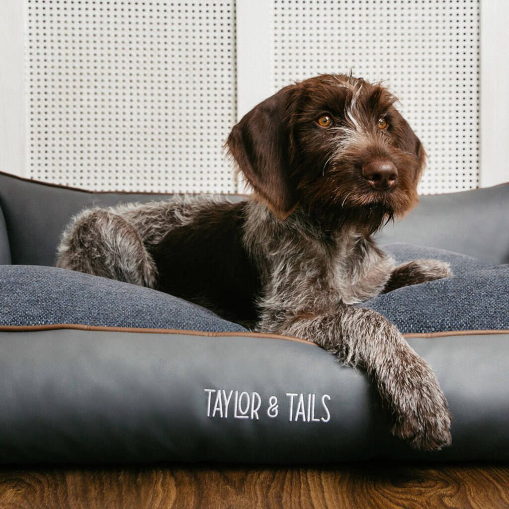 Sustainable Luxury Sofa Dog Bed Balto, 1 of 7