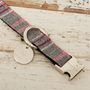 The Winchester Grey Pink Checked Dog Bow Tie Lead Set, thumbnail 5 of 7