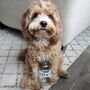 Personalised Pet Treats Storage Jar, thumbnail 3 of 9