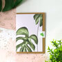 Monstera Variegata Card, thumbnail 2 of 9