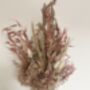 Blush Hydrangea Dried Flower Bouquet, thumbnail 4 of 6