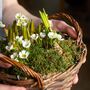 Spring Flower Basket With Or W/Out Candles Gift Basket, thumbnail 1 of 11