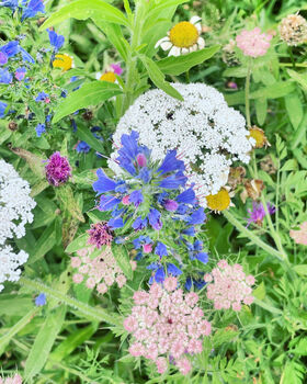 Dangle Earrings With Flowers In Vintage Colours, 10 of 11