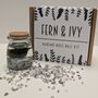 Marimo Moss Ball Kit Plant Lover Gift, thumbnail 1 of 9