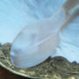 Natural Mother Of Pearl Spoon, thumbnail 7 of 8