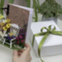 Mother's Day Hanging Garden, thumbnail 7 of 7