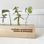 Personalised Wooden Test Tube Propagation Station, thumbnail 3 of 7