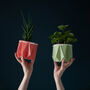 Origami Self Watering Eco Plant Pot: 10cm | Sage, thumbnail 6 of 6