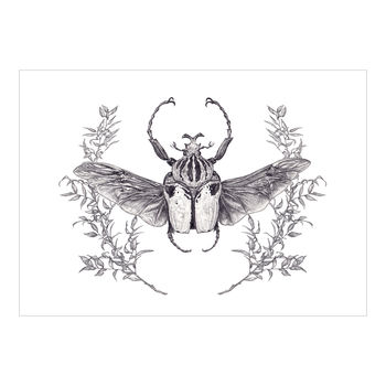 Goliath Beetle A4 Art Print, 3 of 3