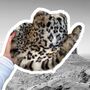 Snow Leopard Fur Cowboy Hat, thumbnail 5 of 9
