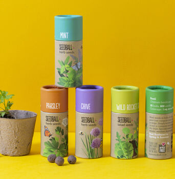 Wildflower And Herb Seeds Create Your Own Gift Set, 6 of 12