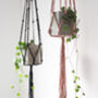 Eco Friendly Popcorn Knot Macrame Plant Hanger, thumbnail 2 of 7