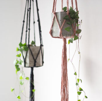 Eco Friendly Popcorn Knot Macrame Plant Hanger, 2 of 7