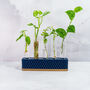 Propagation Station | Gold And Navy, thumbnail 1 of 4