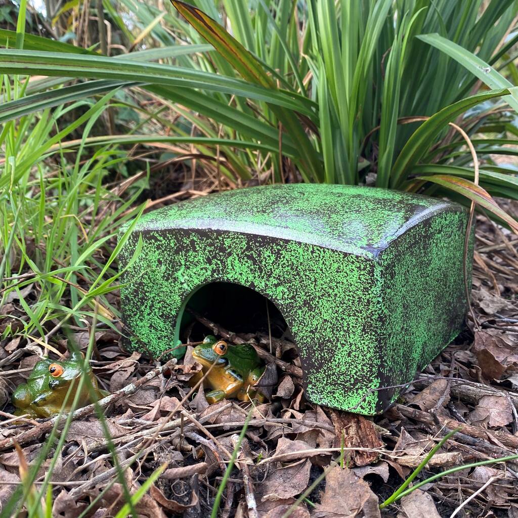 Toad Hall Garden Frog House By Garden Selections