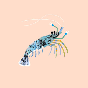 Rock Shrimp | Limited Edition Fine Art Print, 3 of 3