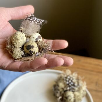Handmade Miniature Nests With Real Blown Quail Eggs, 8 of 9