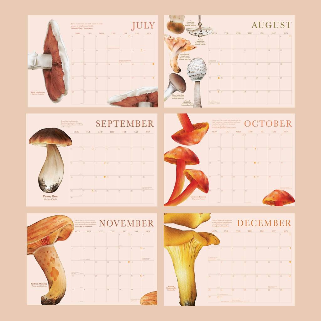 2024 Calendar Mushroom A4 By Once Upon A Tuesday   Original 2024 Calendar Mushroom A4 