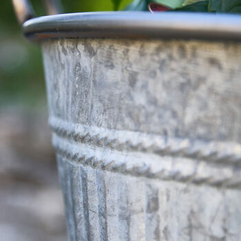 Traditional Grey Metal Bucket Planter, 2 of 5