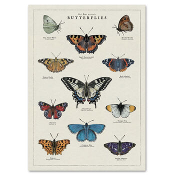 British Butterfly Art Poster, 6 of 10