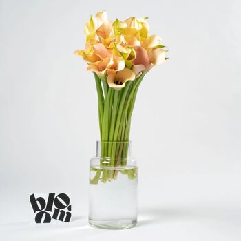 Ballet Slipper Pink Calla Lily Fresh Flower Bouquet, 2 of 3