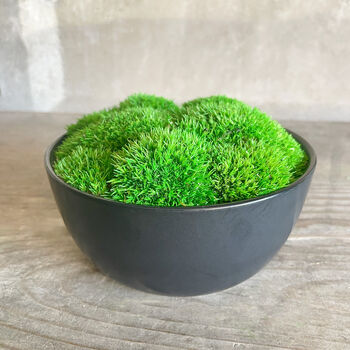 Preserved Moss In Ceramic Sugar Bowl, 3 of 3