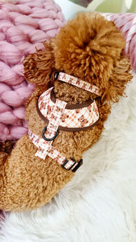 Vintage Bear Gingham Dog Collar With Optional Set, 9 of 11