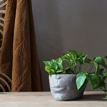 Half Face Planter, 4 of 4